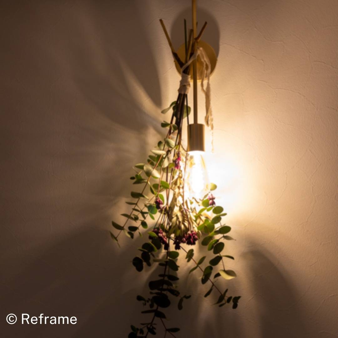 光の広がり方まで楽しめる、暮らしを彩る照明特集💡